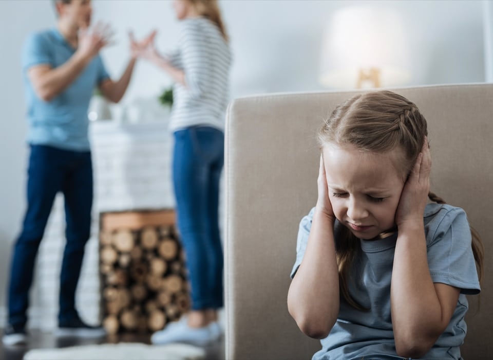 Child Custody Lawyer North Shore